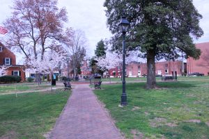 Picture of the landscape in Hurkamp Park