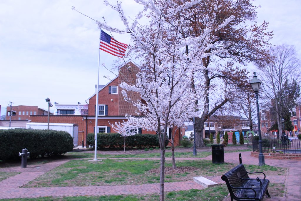 Picture of the landscape in Hukamp Park
