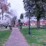 Picture of the landscape in Hurkamp Park