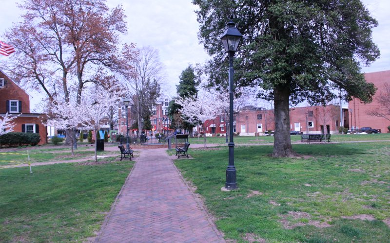 Picture of the landscape in Hurkamp Park
